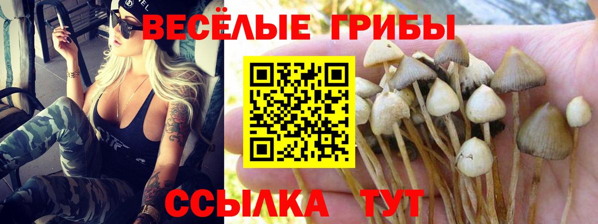 Галлюциногенные грибы ЛСД Хасавюрт