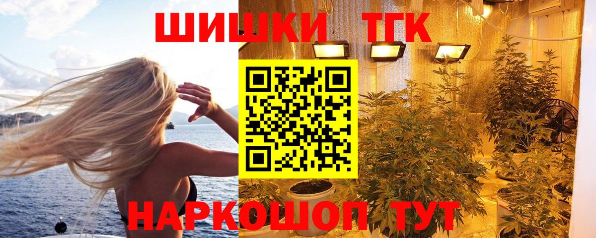 Каннабис индика  Бошки марихуана гибрид  МАРИХУАНА план  Вход с VPN  Хасавюрт 